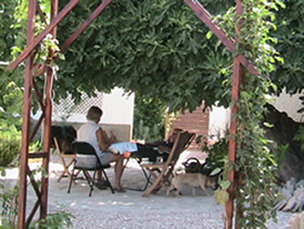 Treatment under the fig tree